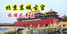 色网48P中国北京-东城古宫旅游风景区